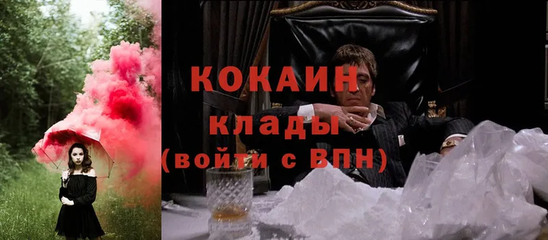 КОКАИН FishScale Западная Двина